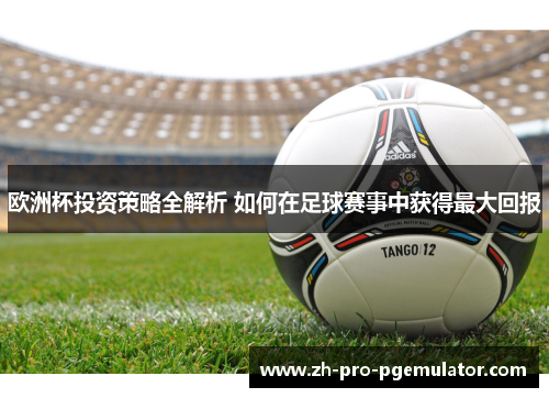 欧洲杯投资策略全解析 如何在足球赛事中获得最大回报